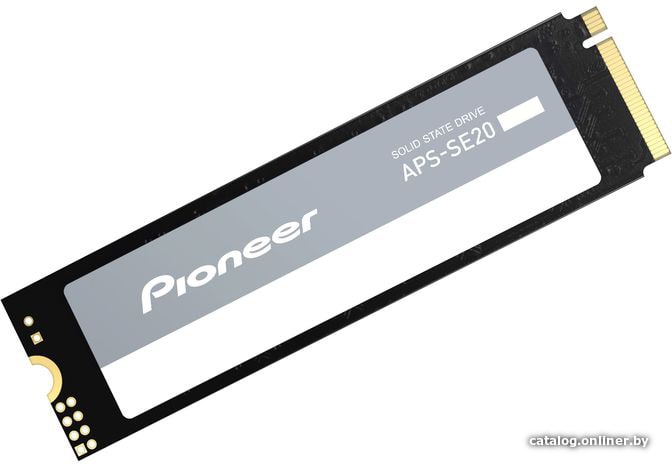 

SSD Pioneer APS-SE20-256 256GB