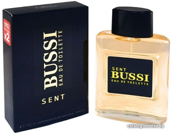 

Туалетная вода Neo Parfum Sent Bussi Pour Homme EdT (100 мл)