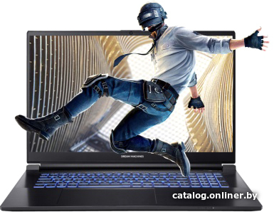 

Игровой ноутбук Dream Machines RG3050-17KZ35