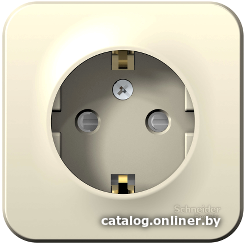 

Розетка Schneider Electric Blanca BLNRA011112