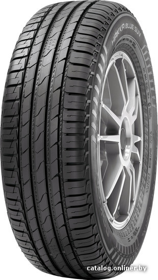 

Автомобильные шины Nokian Tyres Hakka Blue SUV 215/65R16 102V