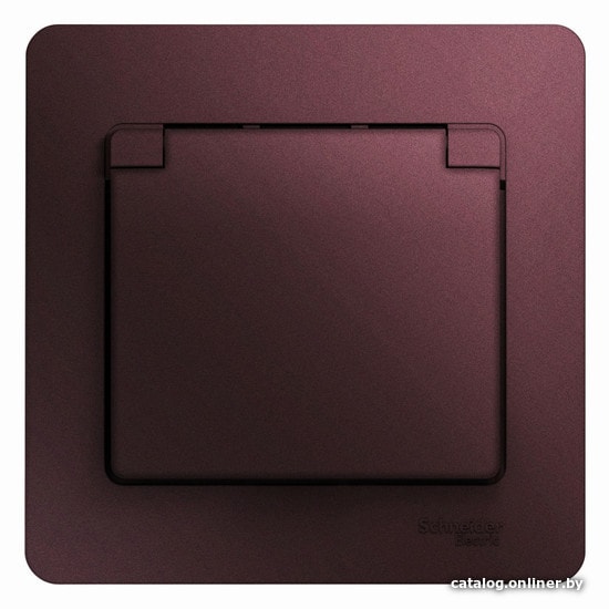 

Розетка Schneider Electric Glossa GSL001146