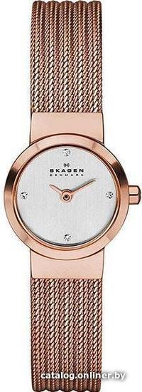 

Наручные часы Skagen SKW2132