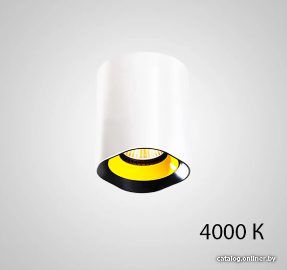 

Точечный светильник ImperiumLoft Rexton-A01 212486-23