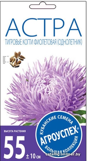 

Семена цветов Агроуспех Астра Тигровые когти темно-фиолетовая 0.3 г