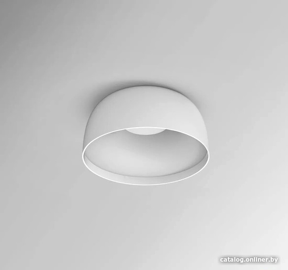 

Припотолочная люстра ImperiumLoft Brim01 184481-26
