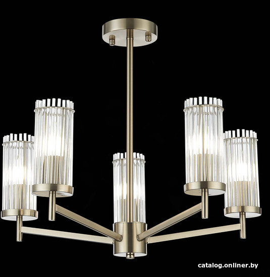 

Люстра средней высоты ST Luce Bitonto SL1233.102.05