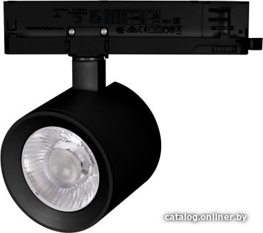 

Трековый светильник Arlight LGD-NIKA-4TR-R100-20W White6000 031161