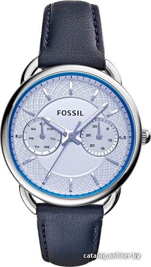

Наручные часы Fossil ES3966