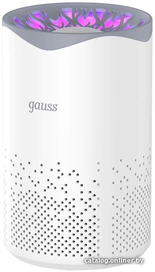 

Очиститель воздуха Gauss Guard GR001