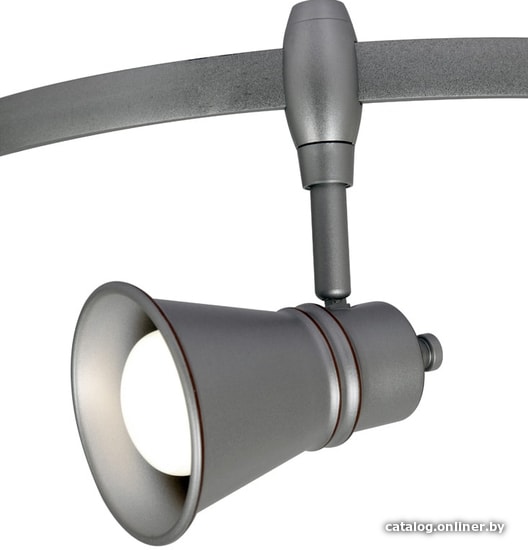 

Точечный светильник Arte Lamp Track Lights A3057PL-1SI