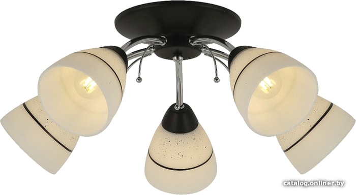 

Подвесная люстра Toplight Winnifred TL1255D-05BC