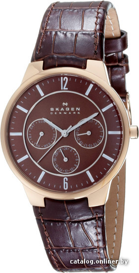 

Наручные часы Skagen 331XLRLD