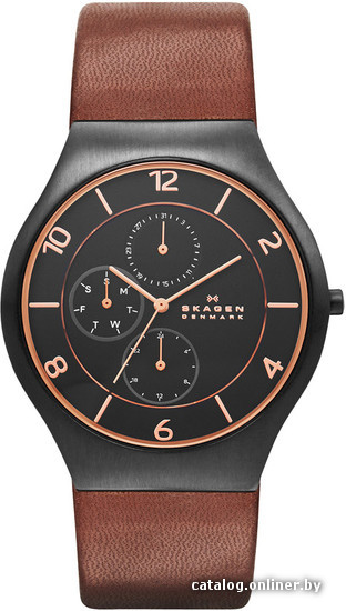 

Наручные часы Skagen SKW6117
