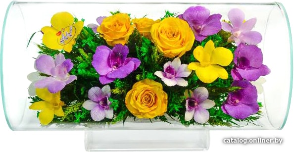 

Цветы, букеты Natural Flower Products Композиция из орхидей и желтых роз AQT6