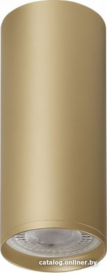 

Спот Denkirs Tube DK2051-SG
