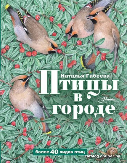 

Книга издательства АСТ. Птицы в городе (Габеева Наталья Михайловна)