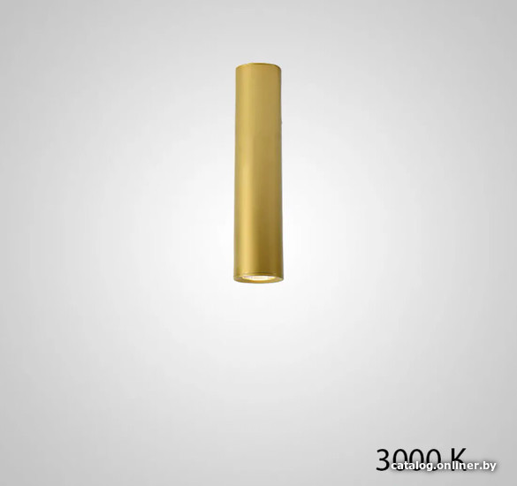 

Точечный светильник ImperiumLoft Pan01 212629-23