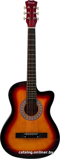 

Акустическая гитара Terris TF-3802C SB