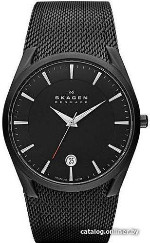 

Наручные часы Skagen SKW6009