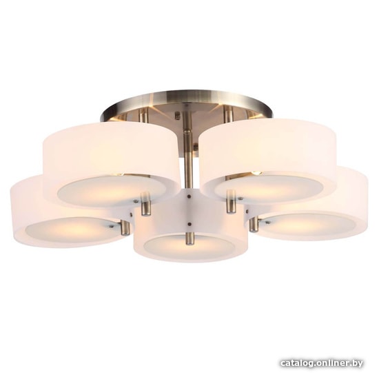 

Припотолочная люстра ST Luce Foresta SL483.352.05