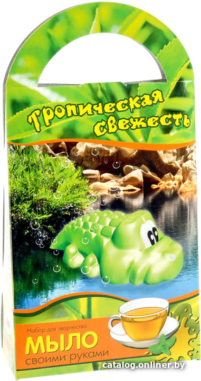 

Набор для опытов Аромафабрика Мыло своими руками. Тропическая свежесть С0206
