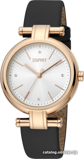 

Наручные часы Esprit Noora ES1L268L0035
