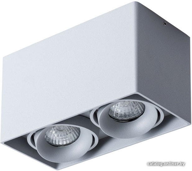 

Точечный светильник Arte Lamp Pictor A5654PL-2GY
