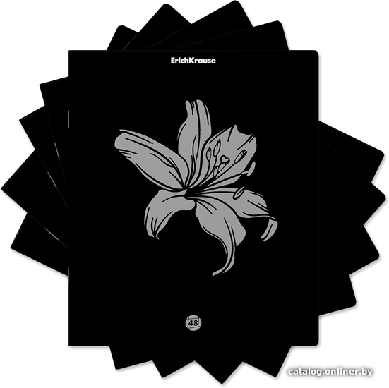 

Полуобщая тетрадь Erich Krause Silver Flowers 48 л клетка 54253