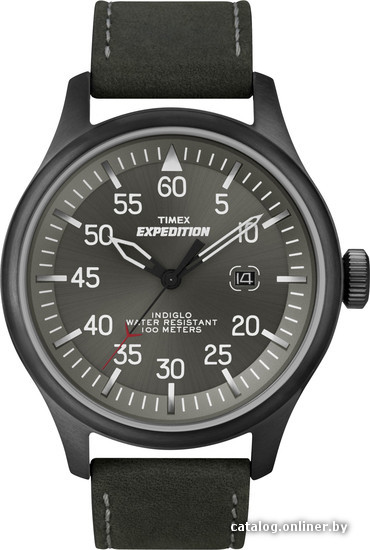 

Наручные часы Timex T49877