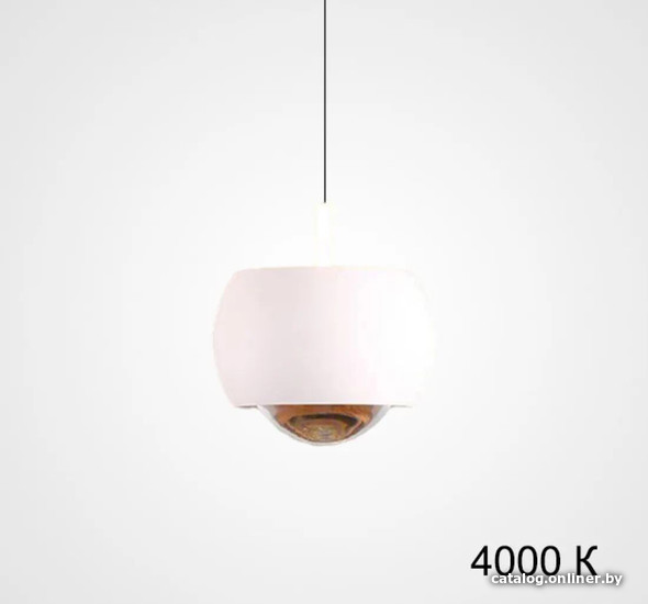 

Подвесная люстра ImperiumLoft Bendix-C01 219275-23