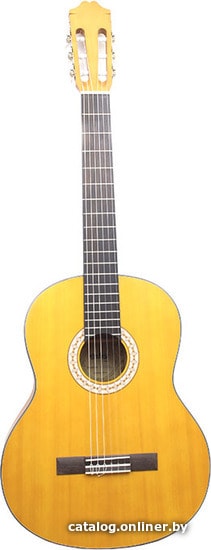 

Акустическая гитара Emuse FS-119