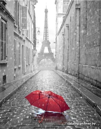 

Фотообои Citydecor Красный зонт с защитным покрытием 200x254