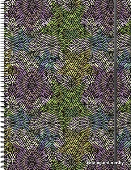 

Набор тетрадей Erich Krause Purple Python 80 л клетка 080245360-49791 (2 шт)