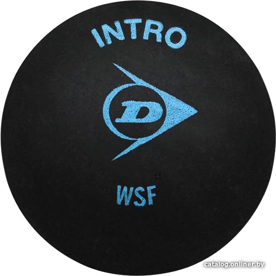 

Мяч для сквоша DUNLOP Intro (1 синяя точка, 1 шт)