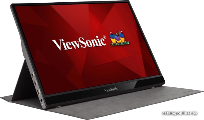 

Портативный монитор ViewSonic VG1655