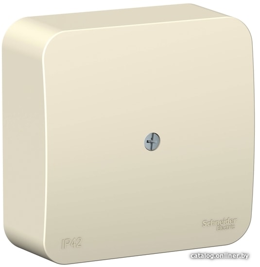 

Накладная коробка Schneider Electric BLNRK000012