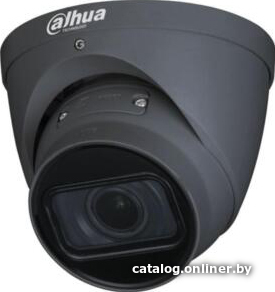 

IP-камера Dahua DH-IPC-HDW2831TP-ZS (черный)