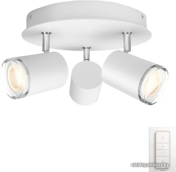 

Спот Philips Hue Adore Bathroom Plate/Spiral 3x5.5W (белый)