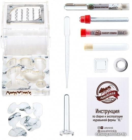 

Формикарий AntsMinsk Стартовый комплект XL Marble
