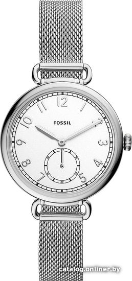 

Наручные часы Fossil Josey ES4885