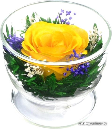

Цветы, букеты Natural Flower Products Композиция из желтых роз JbZYf