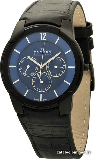 

Наручные часы Skagen 856XLBLN
