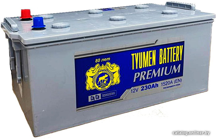 

Автомобильный аккумулятор Tyumen Battery Premium L+ (230 А·ч)