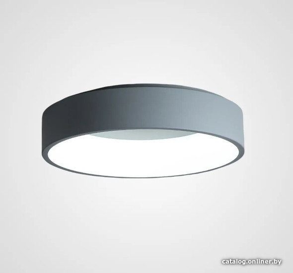 

Светильник-тарелка ImperiumLoft Tray01 181886-26