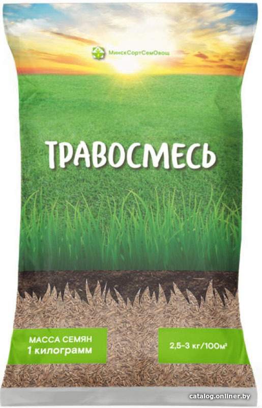 

Семена МинскСортСемОвощ Травосмесь Декоративная 1 кг