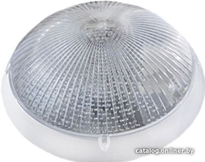 

Уличный накладной светильник Mirsa Oval 118.023