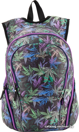 

Школьный рюкзак Kite K18-953L