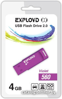 

USB Flash Exployd 560 4GB (фиолетовый) [EX-4GB-560-Violet]