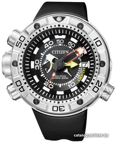 

Наручные часы Citizen BN2021-03E